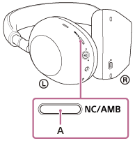 Illustration indicating the location of A