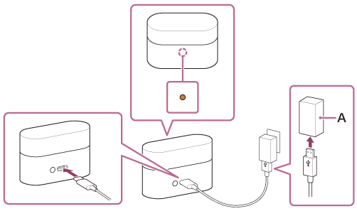 Illustration indicating the location of A