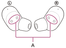 Illustration indicating the location of A