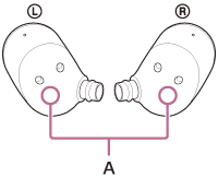 Illustration indicating the location of A