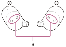 Illustration indicating the location of B