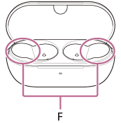 Illustration indicating the location of F