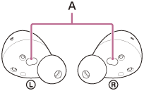 Illustration indicating the location of A