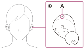 Illustration indiquant l’emplacement du A