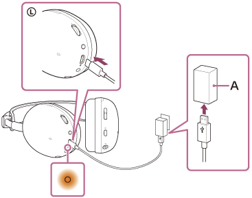 Illustration indicating the location of A