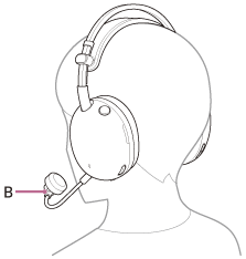 Illustration indicating the location of B