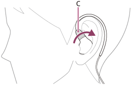 Illustration indicating the location of C