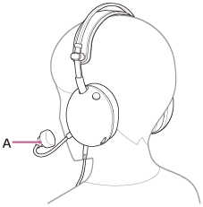 Illustration indicating the location of A