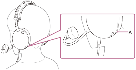 Illustration indicating the location of A