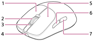 2 is located in the center of the top surface of the mouse. 1 is located on the right side of 2 and 5  is located on the left side of 2. 4 is located on the underside of the mouse tip, and 3 is located between 4 and 2. 6 and 7 are located on the side of the mouse.