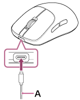 Illustration indicating the location of A