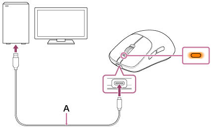 Illustration indicating the location of A
