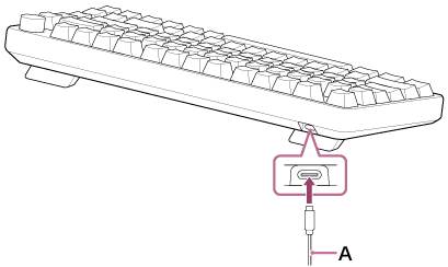 Illustration indicating the location of A