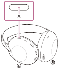 Illustration indicating the location of A