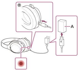Illustration indicating the location of A