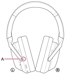 Illustration indicating the location of A