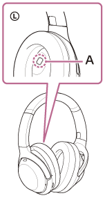 Illustration indicating the location of A
