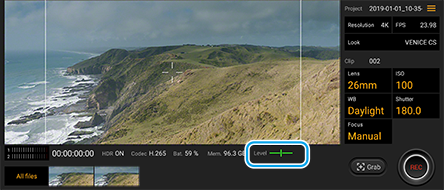 Cinema Proの設定画面で、水準器表示の位置を示した図