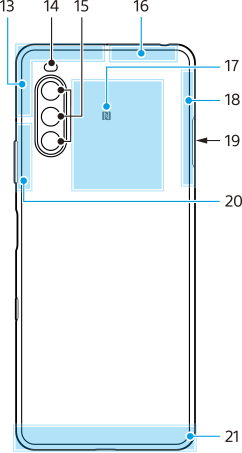 ไดอะแกรมของมุมมองด้านหลังแสดงแต่ละส่วนเรียงตามหมายเลข บริเวณซ้ายบนจากซ้ายไปขวา 20 และ 13 ถึง 15 บริเวณขวาบน 16 บริเวณกึ่งกลางด้านบน 17 บริเวณด้านขวา 18 ด้านขวา 19 บริเวณด้านล่าง 21