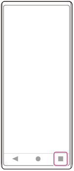 Image showing the position of the overview button in the lower right area.