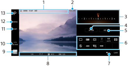 Snímek zobrazující, kde se každý parametr nachází na pohotovostní obrazovce Photo Pro. Oblast středu, 1 a 2. Pravá oblast od shora dolů, 3 až 6. Spodní oblast, 7 a 8. Levá oblast od zdola nahoru, 9 až 13.