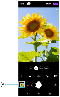 Imagen que muestra la posición de la miniatura en la pantalla de espera de Photo Pro en el modo BASIC (Básico).