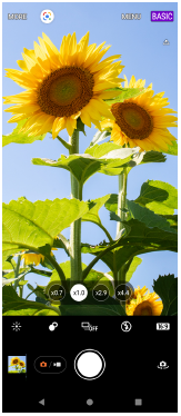 Obraz ekranu gotowości aplikacji Photo Pro w trybie BASIC (Podstawowym) przy orientacji pionowej