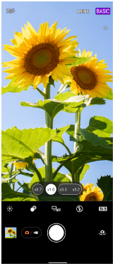 BASIC（基本）模式下纵向的摄影大师待机屏幕图