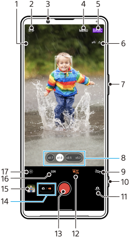 图像显示了BASIC（基本）视频模式下摄影大师待机屏幕上各功能的位置。上部区域，1到6。设备右侧，7和10。下部区域，8到9和11到17。