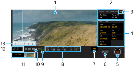 Изображение, показващо къде се намира всеки параметър на екрана на приложението Cinema Pro. Горна лява област, 1. Горна дясна област, 2 и 3. Централна дясна област, 4. Долна област, от дясно на ляво, от 5 до 13.
