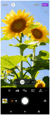 Εικόνα της οθόνης αναμονής Photo Pro σε λειτουργία BASIC (Βασική) σε κατακόρυφο προσανατολισμό