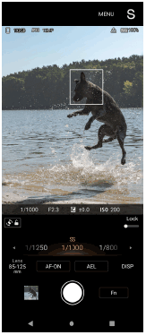 Imagen de la pantalla de espera de Photo Pro en el modo de prioridad de velocidad del obturador en la orientación vertical