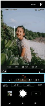 Photo ProでP（プログラムオート）モードを選んでいるスタンバイ画面、画面下部のダイヤルを示した画面。