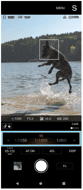 Photo ProでS（シャッタースピード優先）モードを選んでいるスタンバイ画面、画面下部のシャッタースピード調整のエリアを示した画面。