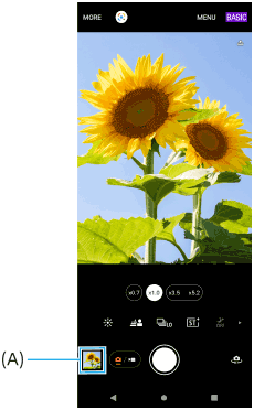 Imagem que mostra a posição da miniatura no ecrã de espera do Photo Pro no modo BASIC (Básico).