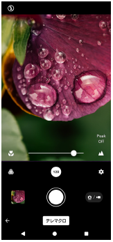 テレマクロモードで、ピントを手動調整する図。