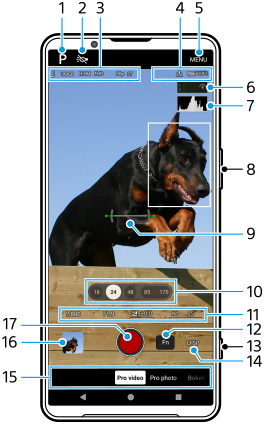 Imagem que mostra onde cada parâmetro está localizado na aplicação da Câmara no modo [Vídeo Pro]. Área superior, 1 a 7. Lado direito do dispositivo, 8 e 13. Área do centro, 9. Área inferior, 10 a 12 e 14 a 17.