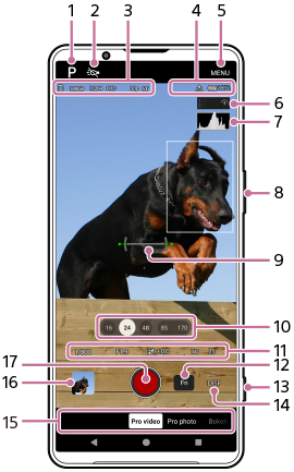Image showing where each parameter is located on the Camera app in the [Pro video] mode. Upper area, 1 to 7. Right side of the device, 8 and 13. Center area, 9. Lower area, 10 to 12 and 14 to 17.
