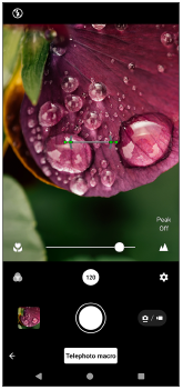 Image of adjusting the focus manually in the [Telephoto macro] mode.