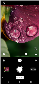 テレマクロモードで、ピントを手動調整する図。