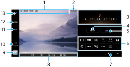 Snímek zobrazující, kde se každý parametr nachází na pohotovostní obrazovce Photo Pro. Oblast středu, 1 a 2. Pravá oblast od shora dolů, 3 až 6. Spodní oblast, 7 a 8. Levá oblast od zdola nahoru, 9 až 13.