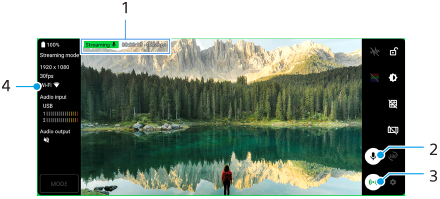 Imagen que muestra dónde está ubicado cada parámetro en la pantalla de modo de transmisión del monitor externo. Área superior, 1. Área derecha de arriba abajo, 2 y 3. Área izquierda, 4.