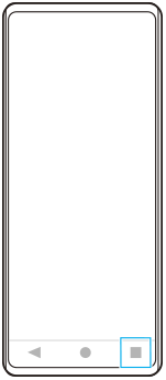 Immagine che mostra la posizione del pulsante panoramica nell'area in basso a destra.