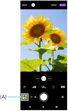 Imagine care arată poziția miniaturii pe ecranul de așteptare Photo Pro în modul BASIC (Bază).