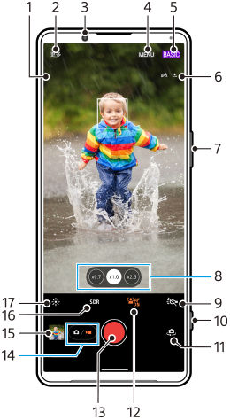 图像显示了BASIC（基本）视频模式下摄影大师待机屏幕上各功能的位置。上部区域，1到6。设备右侧，7和10。下部区域，8到9和11到17。