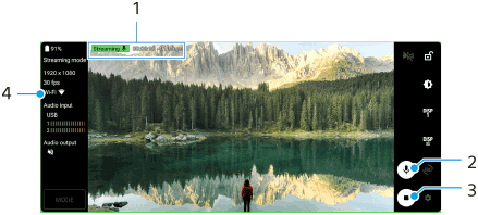 Image showing where each parameter is located on the External monitor Streaming mode screen. Upper area, 1. Right area from top to bottom, 2 and 3. Left area, 4.