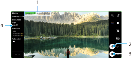 Imagem que mostra onde cada parâmetro está localizado no ecrã do Modo transm. seq. do Monitor externo. Área superior, 1. Área direita de cima para baixo, 2 e 3. Área esquerda, 4.