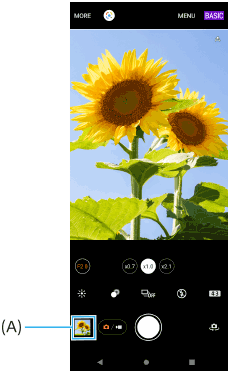 圖示BASIC（基本）模式中Photo Pro待機畫面上的縮圖位置。