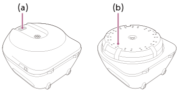 Illustration showing the smell presentation port (a) and the smell discharge port (b)