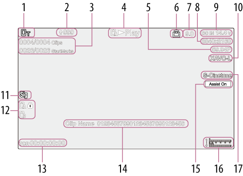 Wiedergabebildschirm